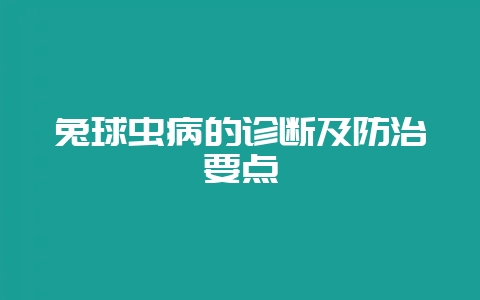兔球虫病的诊断及防治要点-会东网