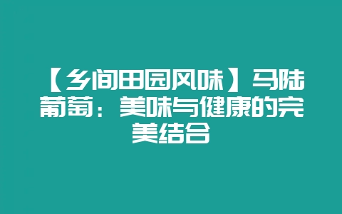 【乡间田园风味】马陆葡萄:美味与健康的完美结合-会东网