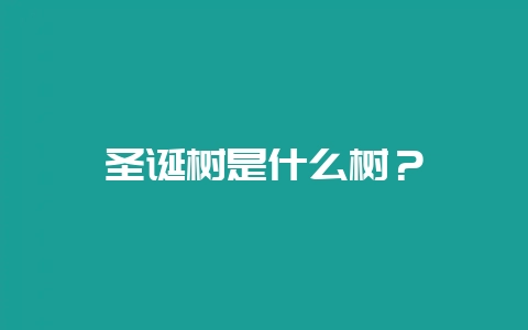 圣诞树是什么树？-会东网