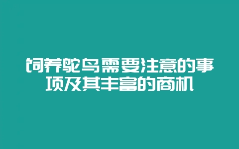 饲养鸵鸟需要注意的事项及其丰富的商机-会东网