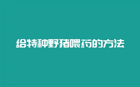 给特种野猪喂药的方法-会东网
