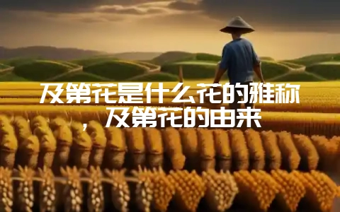 及第花是什么花的雅称，及第花的由来-会东网