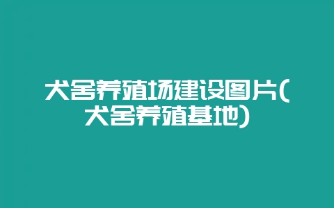犬舍养殖场建设图片(犬舍养殖基地)-会东网
