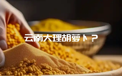 云南大理胡萝卜?-会东网