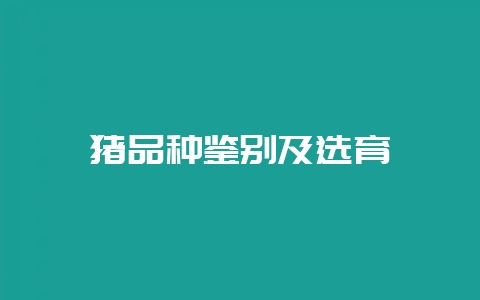 猪品种鉴别及选育-会东网
