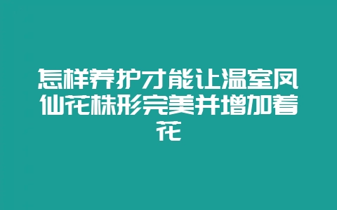 怎样养护才能让温室凤仙花株形完美并增加着花-会东网