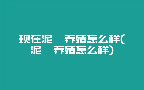 现在泥鳅养殖怎么样(泥鳅养殖怎么样)-会东网