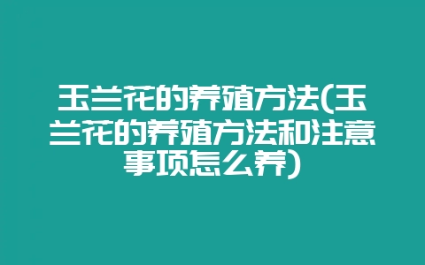 玉兰花的养殖方法(玉兰花的养殖方法和注意事项怎么养)-会东网