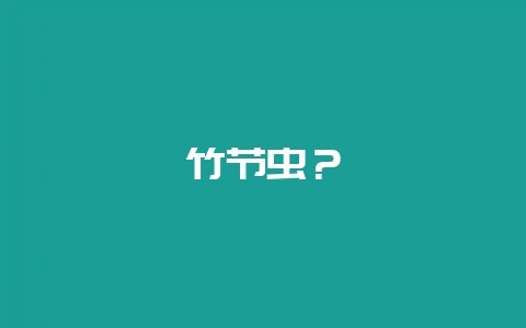 竹节虫？-会东网