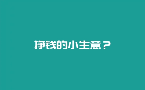 挣钱的小生意？-会东网