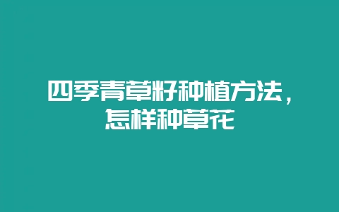 四季青草籽种植方法,怎样种草花-会东网