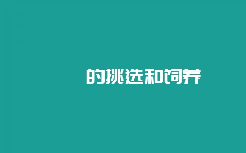 蝈蝈的挑选和饲养-会东网