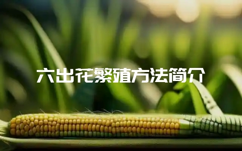 六出花繁殖方法简介-会东网