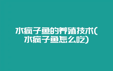 水疯子鱼的养殖技术(水疯子鱼怎么吃)-会东网