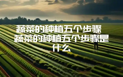 蔬菜的种植五个步骤 蔬菜的种植五个步骤是什么-会东网