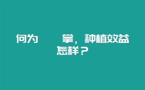 何为麒麟掌,种植效益怎样?-会东网