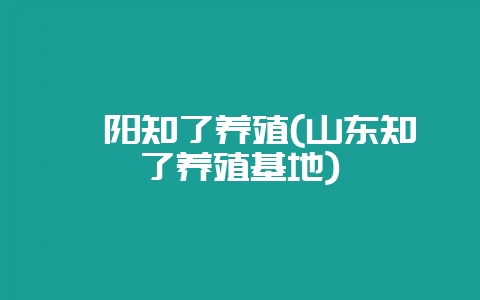 阜阳知了养殖(山东知了养殖基地)-会东网