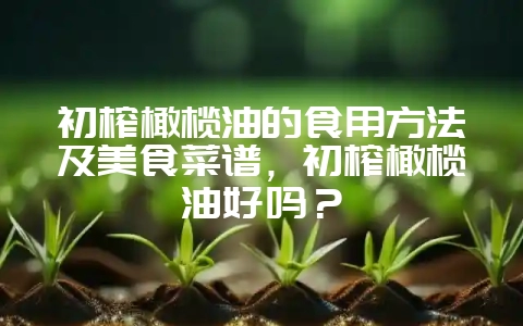 初榨橄榄油的食用方法及美食菜谱，初榨橄榄油好吗？-会东网