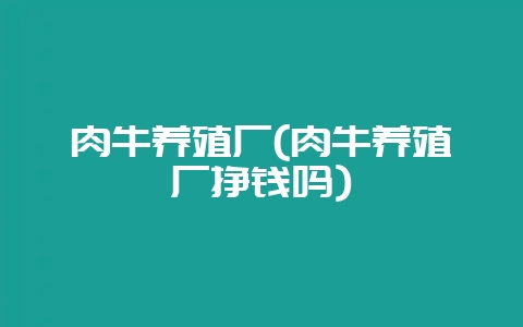 肉牛养殖厂(肉牛养殖厂挣钱吗)-会东网