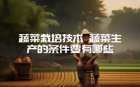 蔬菜栽培技术 蔬菜生产的条件要有哪些-会东网