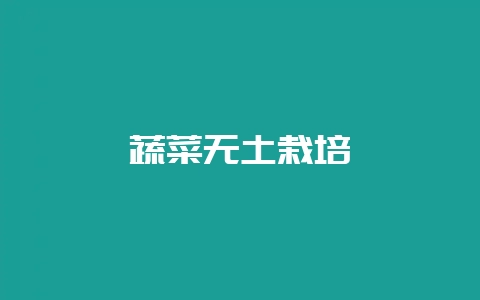 蔬菜无土栽培-会东网