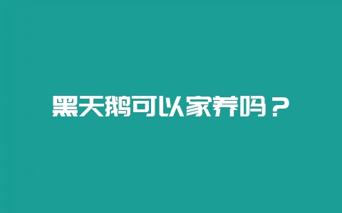 黑天鹅可以家养吗?-会东网