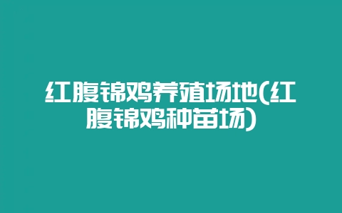 红腹锦鸡养殖场地(红腹锦鸡种苗场)-会东网