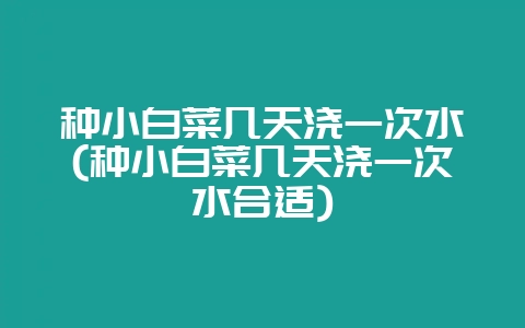 种小白菜几天浇一次水(种小白菜几天浇一次水合适)-会东网