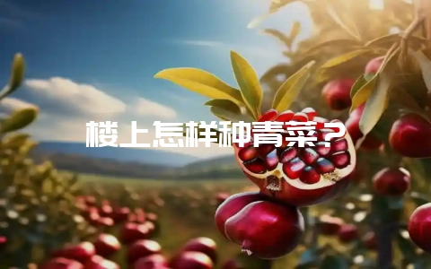 楼上怎样种青菜?-会东网