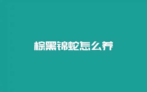 棕黑锦蛇怎么养-会东网