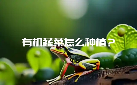 有机蔬菜怎么种植？-会东网