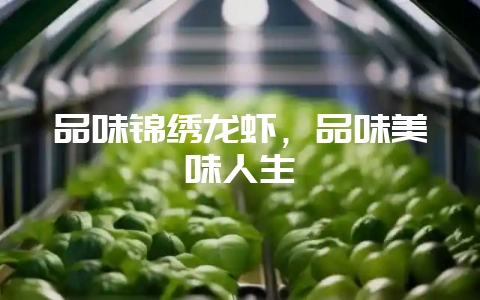 品味锦绣龙虾，品味美味人生-会东网