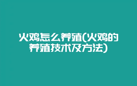 火鸡怎么养殖(火鸡的养殖技术及方法)-会东网