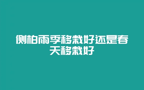 侧柏雨季移栽好还是春天移栽好-会东网