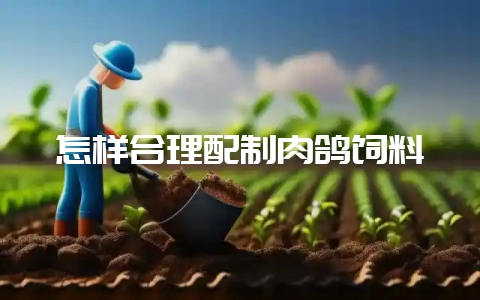 怎样合理配制肉鸽饲料-会东网