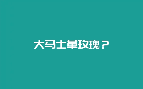 大马士革玫瑰？-会东网