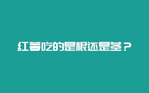 红薯吃的是根还是茎？-会东网