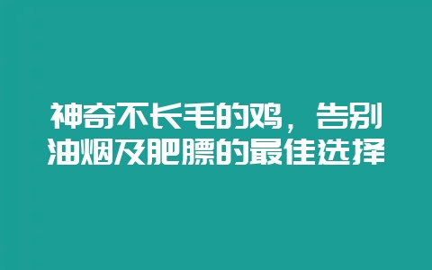 神奇不长毛的鸡,告别油烟及肥膘的最佳选择-会东网
