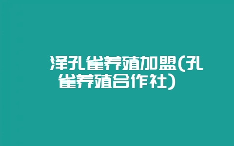 菏泽孔雀养殖加盟(孔雀养殖合作社)-会东网