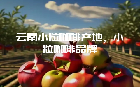 云南小粒咖啡产地，小粒咖啡品牌-会东网