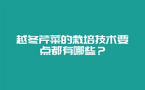 越冬芹菜的栽培技术要点都有哪些？-会东网