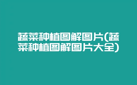 蔬菜种植图解图片(蔬菜种植图解图片大全)-会东网
