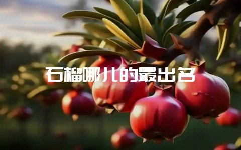石榴哪儿的最出名-会东网