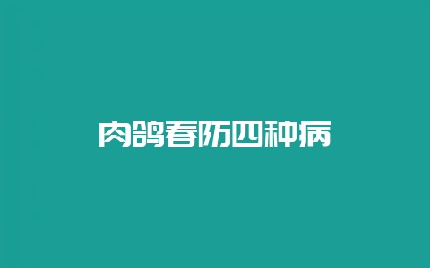 肉鸽春防四种病-会东网