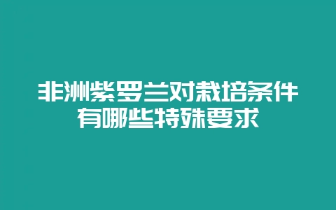非洲紫罗兰对栽培条件有哪些特殊要求-会东网