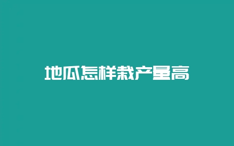 地瓜怎样栽产量高-会东网