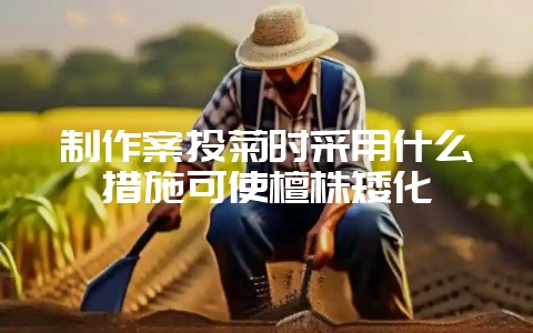 制作案头菊时采用什么措施可使檀株矮化-会东网