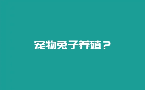 宠物兔子养殖？-会东网