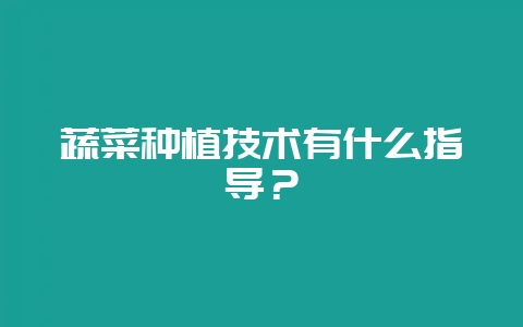 蔬菜种植技术有什么指导?-会东网