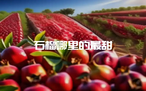石榴哪里的最甜插图 石榴哪里的最甜插图